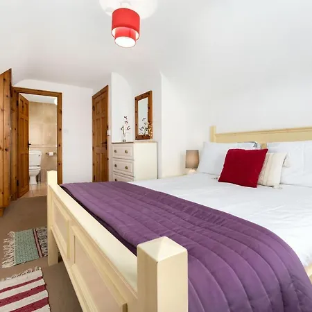 207 - 巴利康尼利