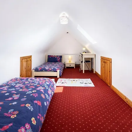 207 - * 巴利康尼利