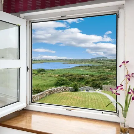 207 - * 巴利康尼利